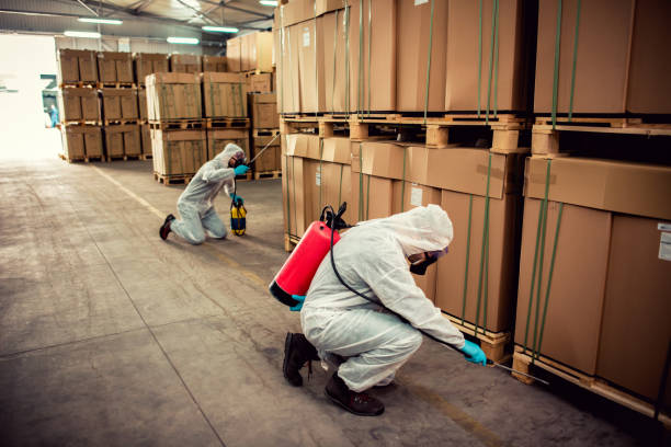 Best Local Pest Control Services  in Spirit Lake, ID