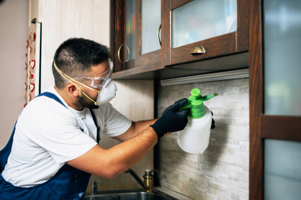 Best Cockroach Control Services  in Spirit Lake, ID