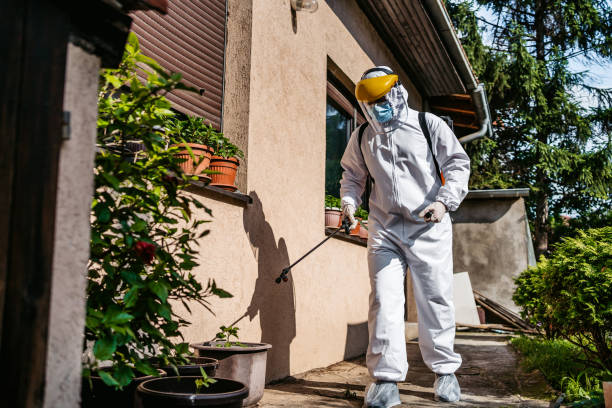 Best Flea Control Services  in Spirit Lake, ID