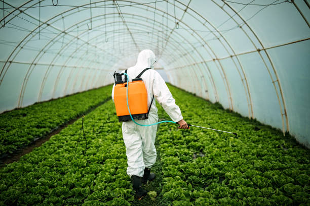 Pest Prevention Services in Spirit Lake, ID