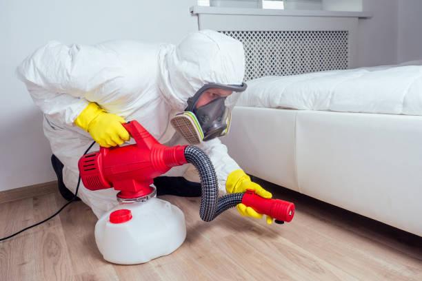 Best Bed Bug Extermination  in Spirit Lake, ID