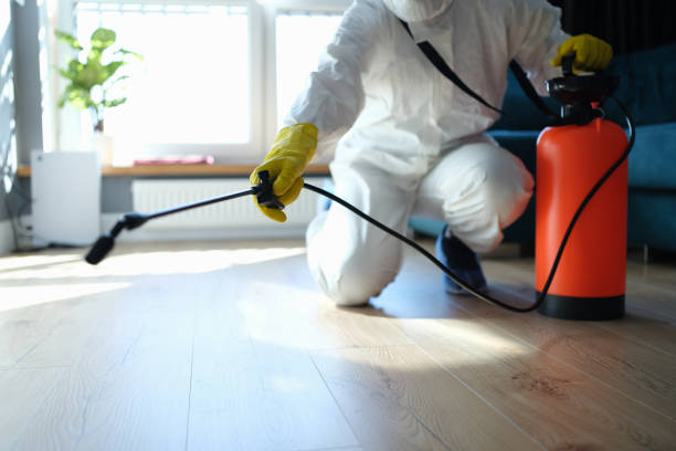 Best Pest Removal Services  in Spirit Lake, ID