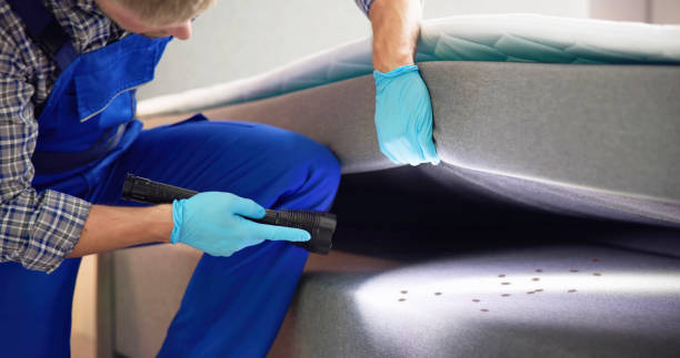 Best Ant Control Services  in Spirit Lake, ID