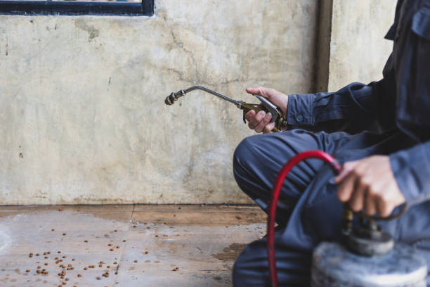 Best Commercial Pest Control Services  in Spirit Lake, ID