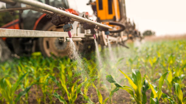 Trusted Spirit Lake, ID Pest Control Experts